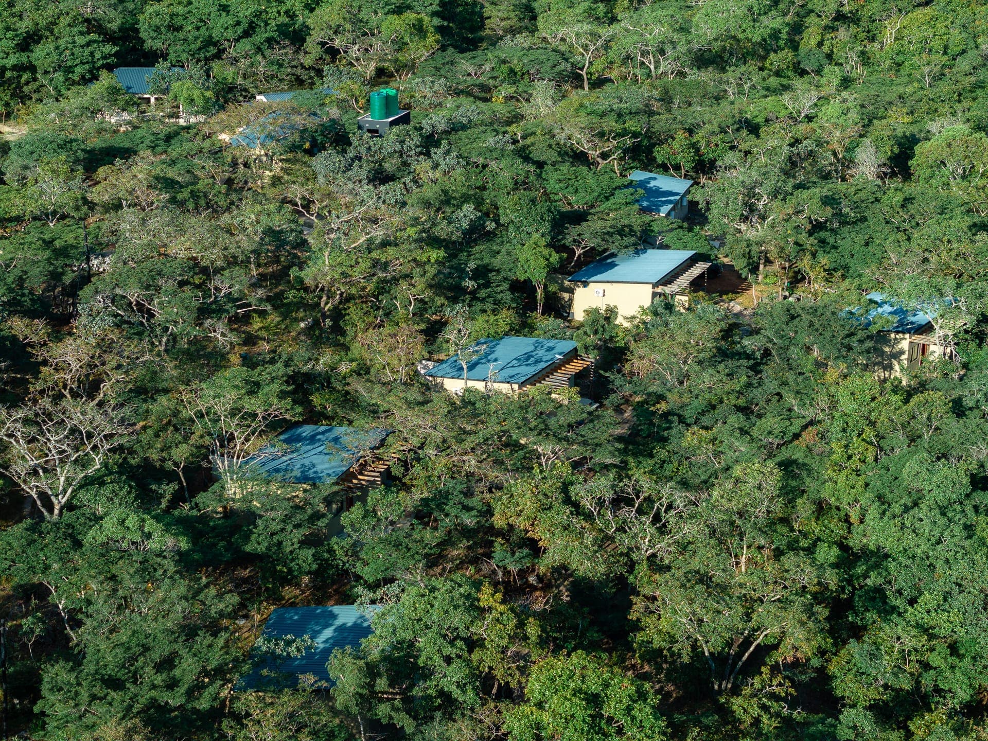 Kosha Lodges — Wide approach through the lodge grounds